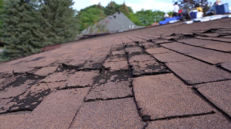 Fast & Reliable Emergency Roof Repairs in South Huntington, NY